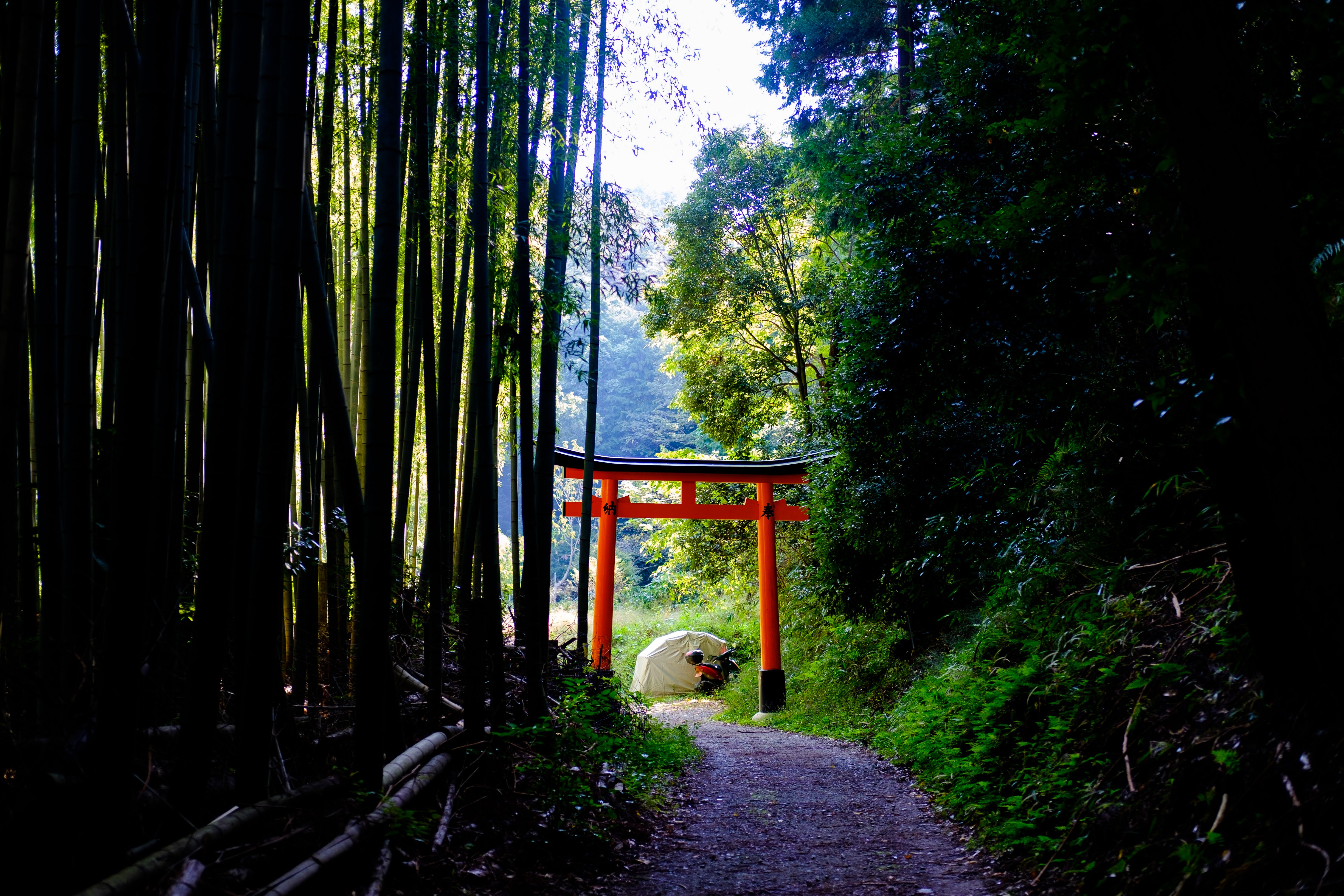 kyoto 伏見稲荷の外れ